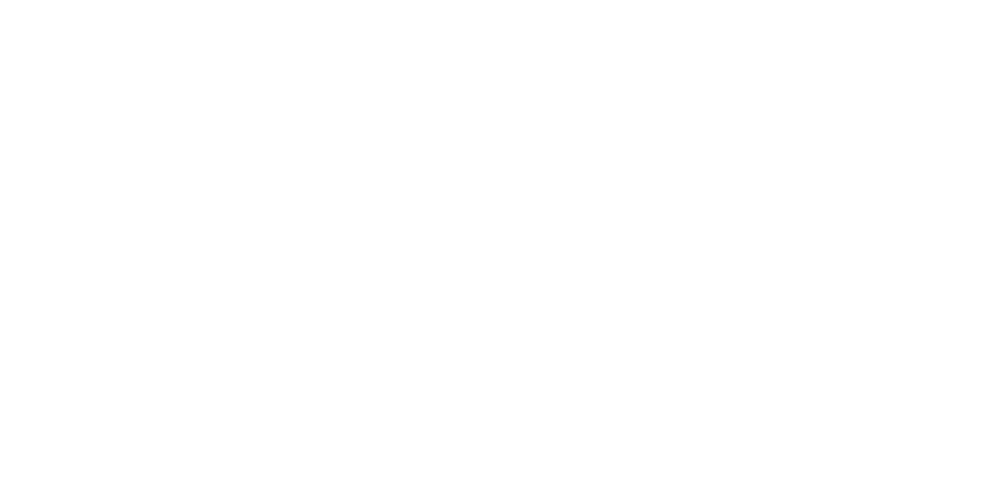 DEMAR logo